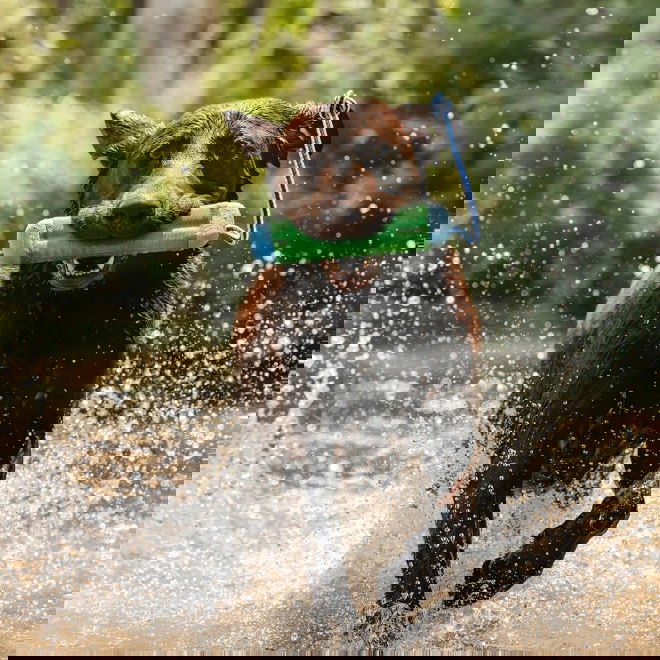 Chuckit Amphibious Bumper Flytande Dummy