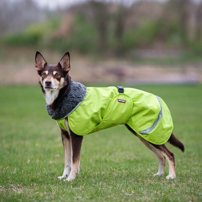 Pomppa Perus Vintertäcke Hund Grön