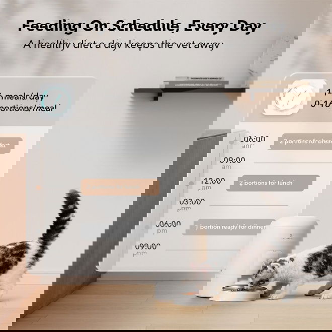 PetLibro Air Automatic Foderautomat (Vit)