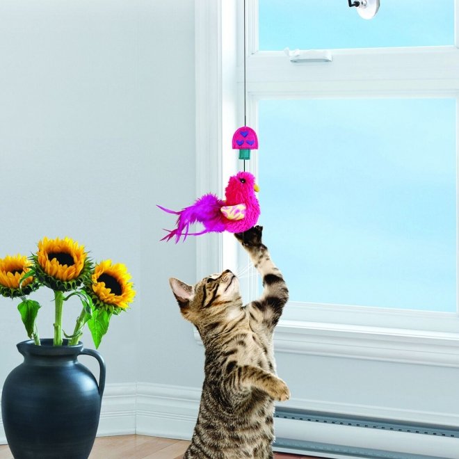 KONG Cat Connects Window Teaser