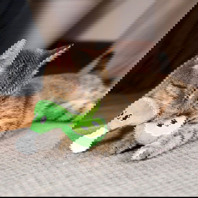 Quirky Kitty Drink och Lime Kattleksaker 2-pack