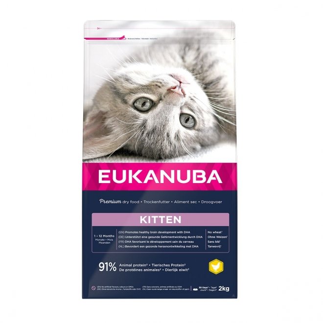 Eukanuba Kitten Healthy Start Chicken (2 kg)
