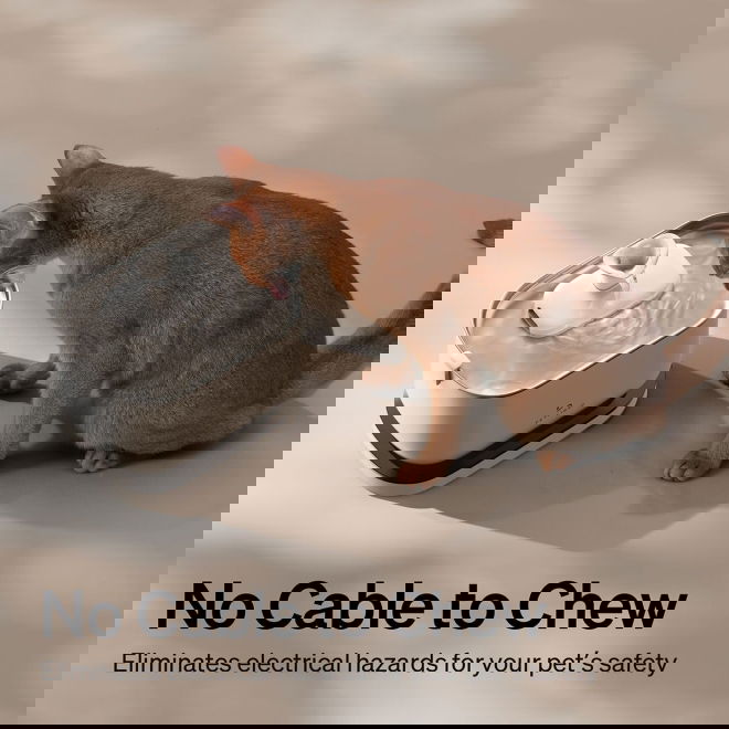 Petlibro Dockstream Vattenautomat Vit