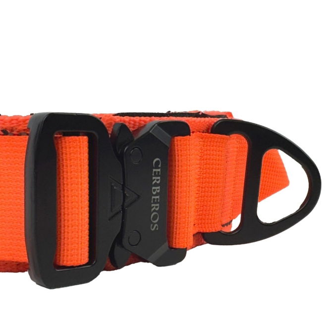 Cerberos Hundhalsband Orange