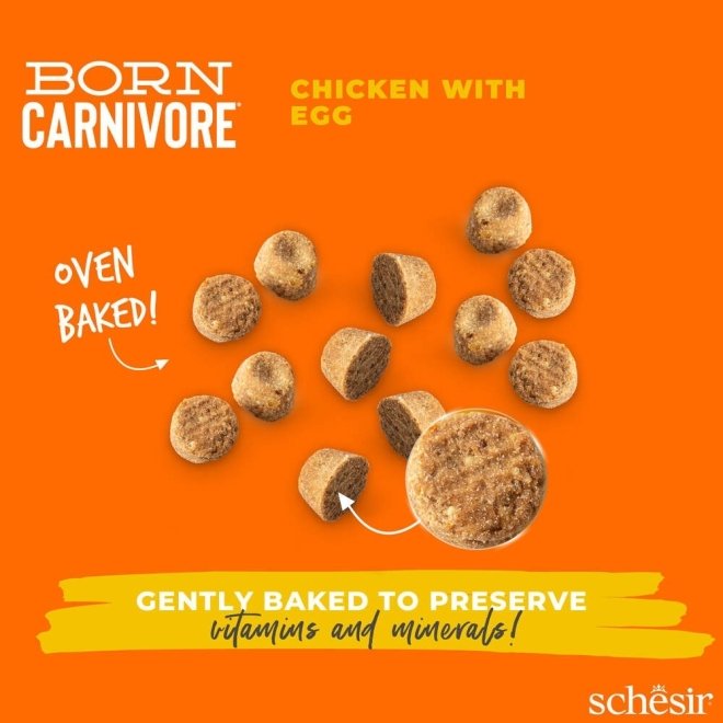 Schesir Born Carnivore Chicken & Egg