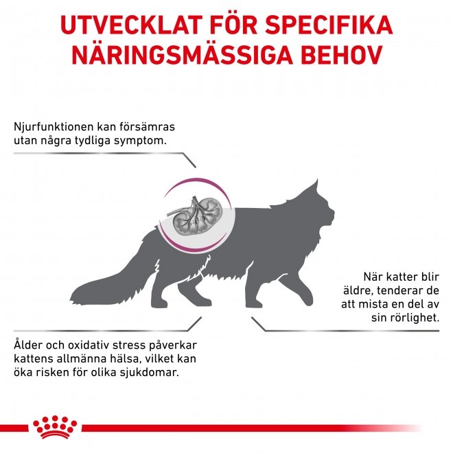 Royal Canin Veterinary Diets Cat Early Renal