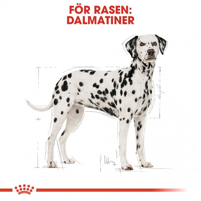 Royal Canin Breed Dalmatiner Adult 12 kg