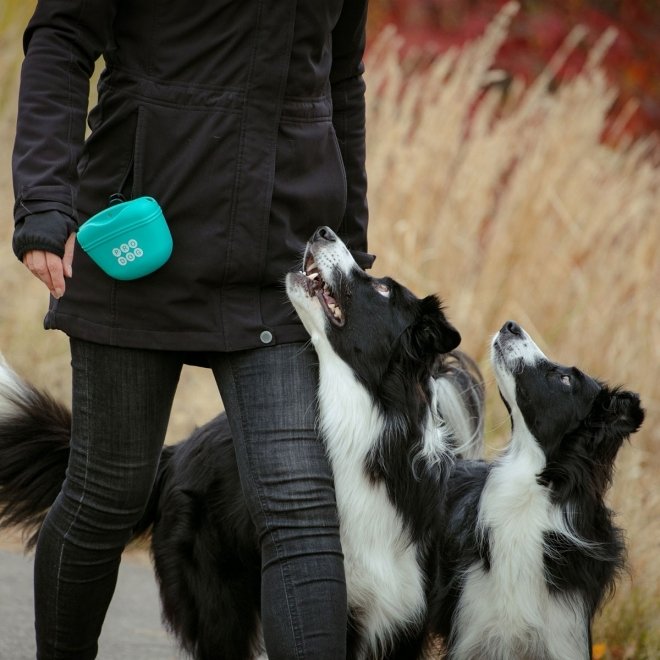 Pro Dog Godisväska i Silikon Turkos