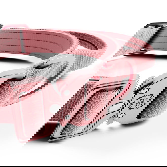 BullyBillows Combat Hundhalsband med Handtag Rosa XS 2,5 cm