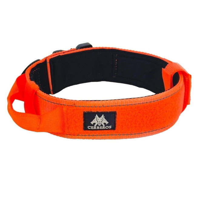 Cerberos Hundhalsband Orange