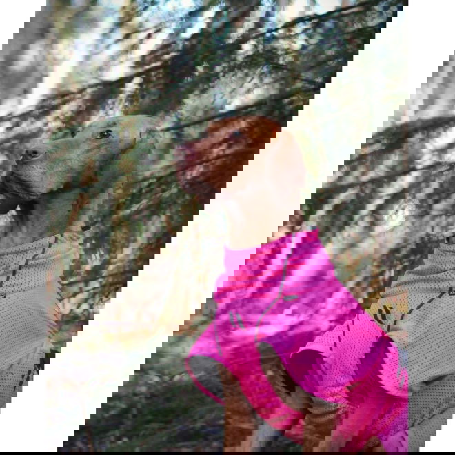 Back on Track Hundnättäcke Limited Edition Rosa