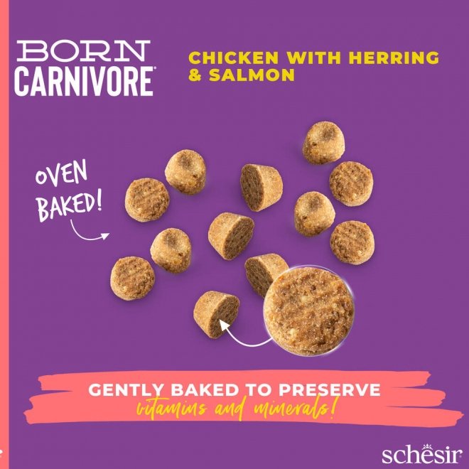 Schesir Born Carnivore Chicken & Herring