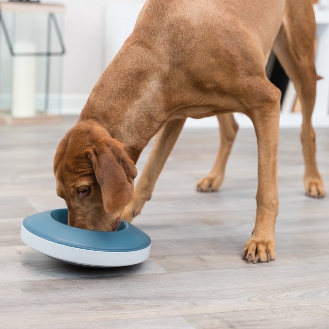 Trixie Rocking Bowl Slow Feeder