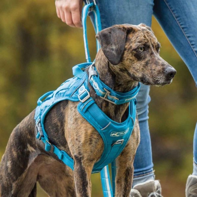 Kurgo RSG County Harness Hundsele Blå