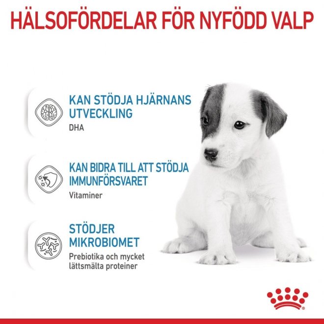 Royal Canin Babydog Milk