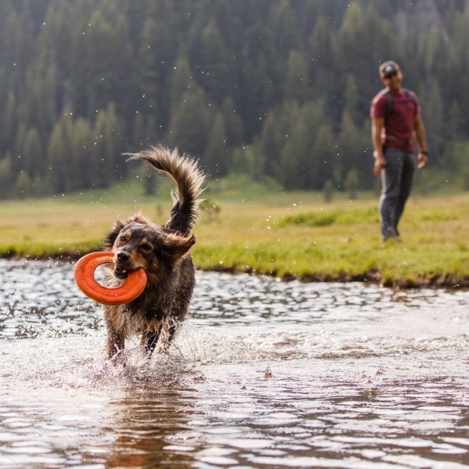 RuffWear Hydro Plane Flytande Hundleksak Orange