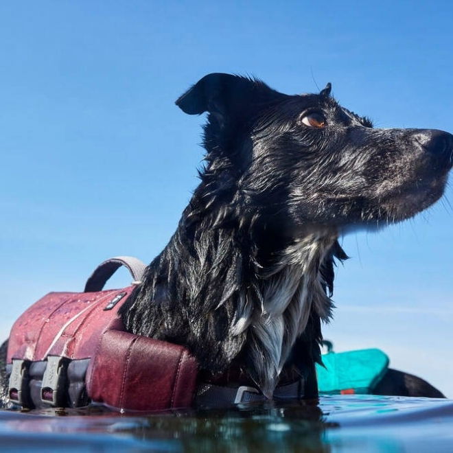 Hurtta Life Savior ECO Hundflytväst Lila