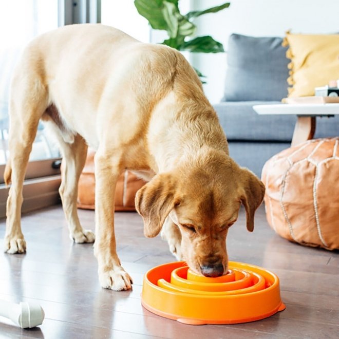 Outward Hound Slow Feeder Swirl Hundmatskål Orange 30 cm