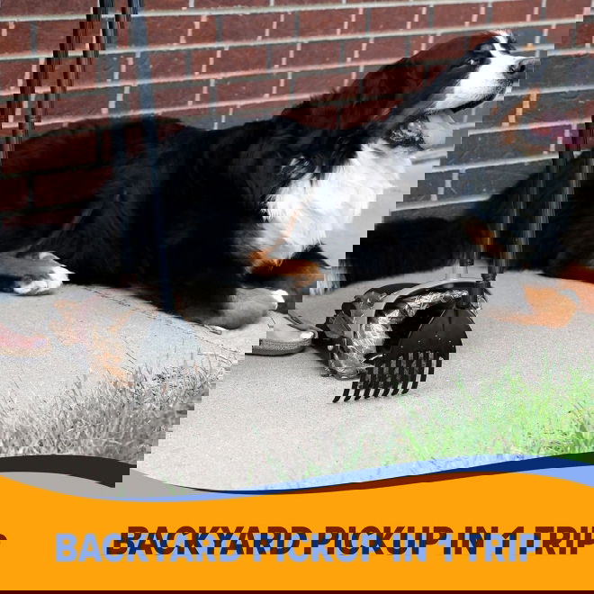 Arm&Hammer Hundbajsplockare