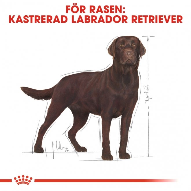 Royal Canin Labrador Retriever Sterilised