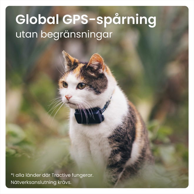 Tractive Mini GPS till Katt