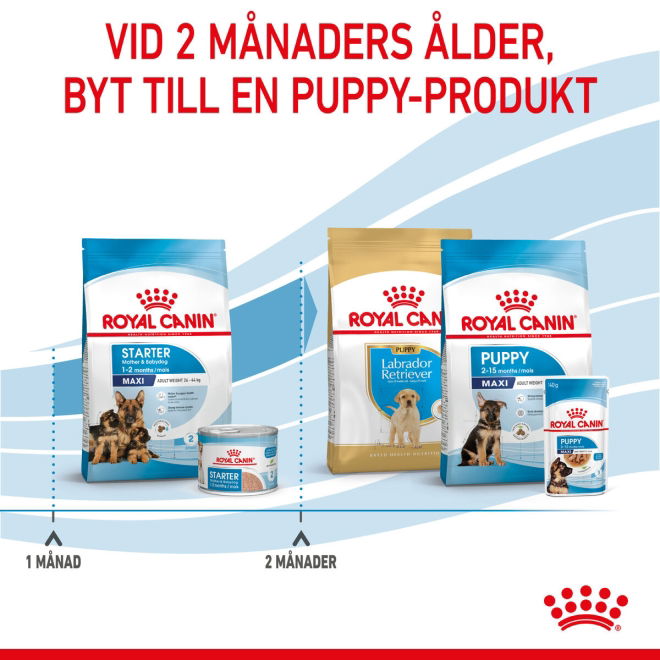 Royal Canin Maxi Starter