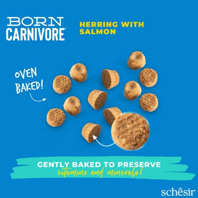 Schesir Born Carnivore Herring & Salmon