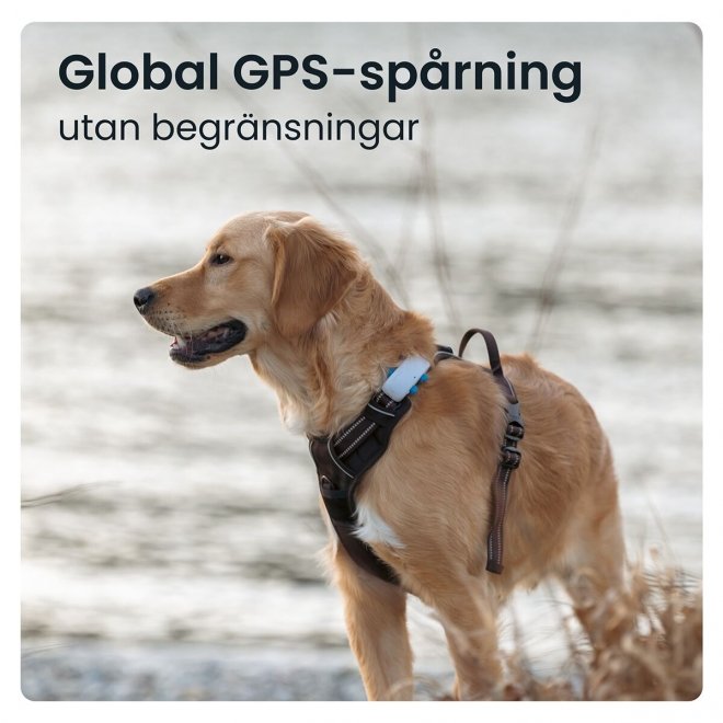 Tractive GPS Tracker till Hund