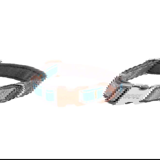 Rogz Urban Hundhalsband Turkos