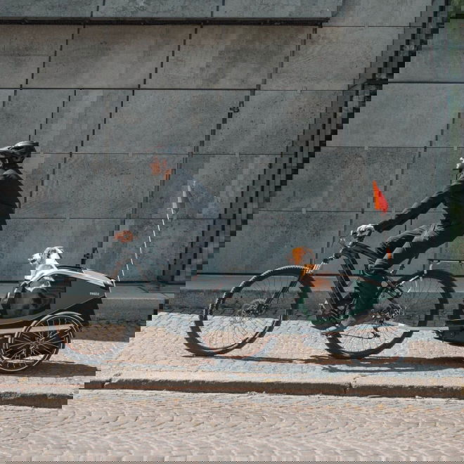 Thule Bexey Cykelvagn till Hund Grön (M)