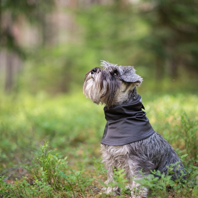 Pomppa Huppu Halsduk till Hund Grå