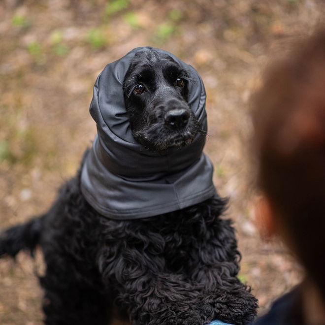 Pomppa Huppu Halsduk till Hund Grå