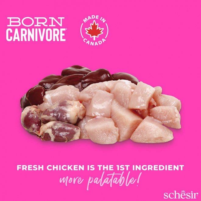 Schesir Born Carnivore Chicken & Egg Baby