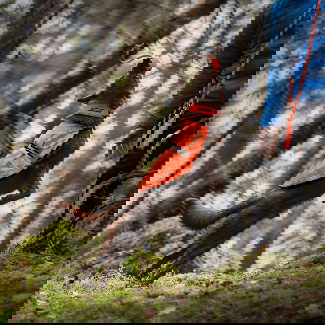 Icepeak Prozone Reflexväst