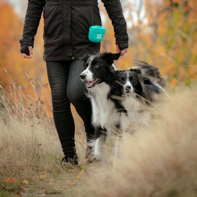 Pro Dog Godisväska i Silikon Turkos