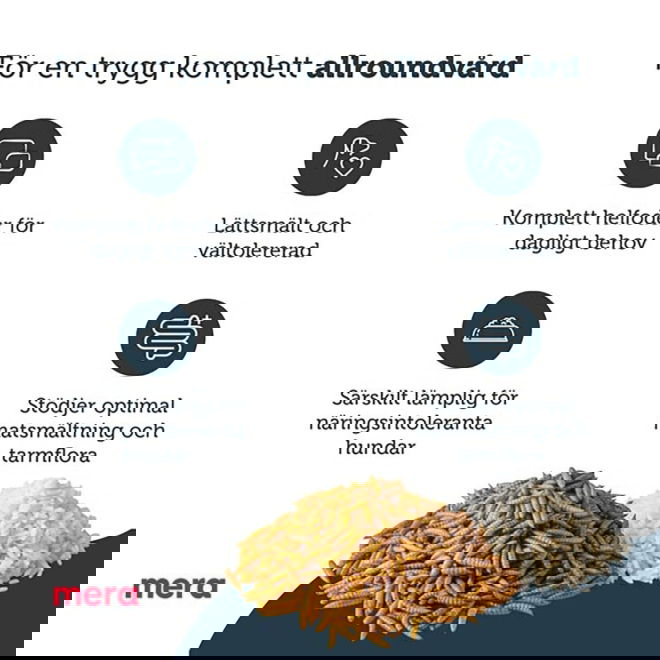 Mera Pure Sensitive Adult Insect Protein