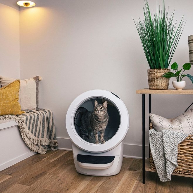 Whisker Litter-Robot 4 Självrengörande Kattlåda Vit