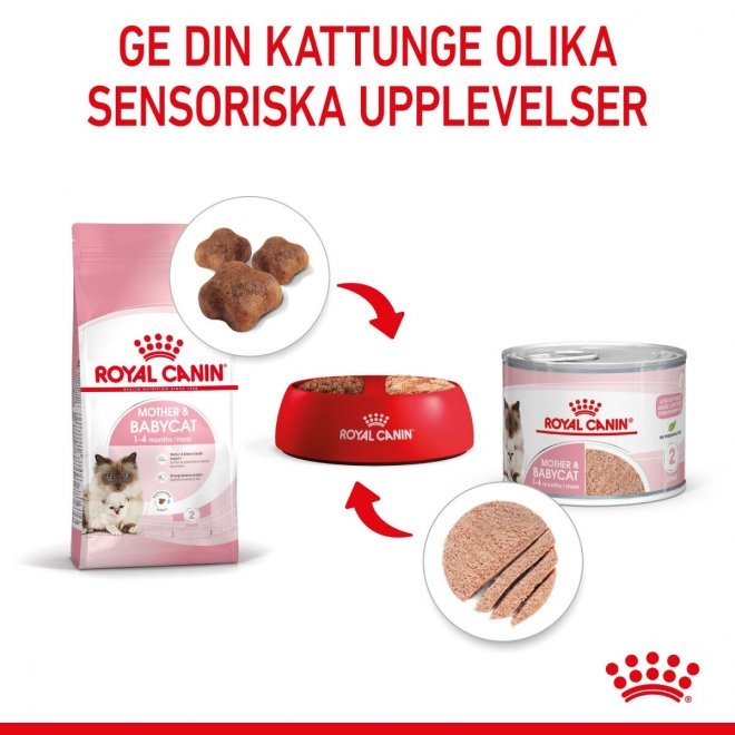 Royal Canin Mother & Babycat Starter Mousse