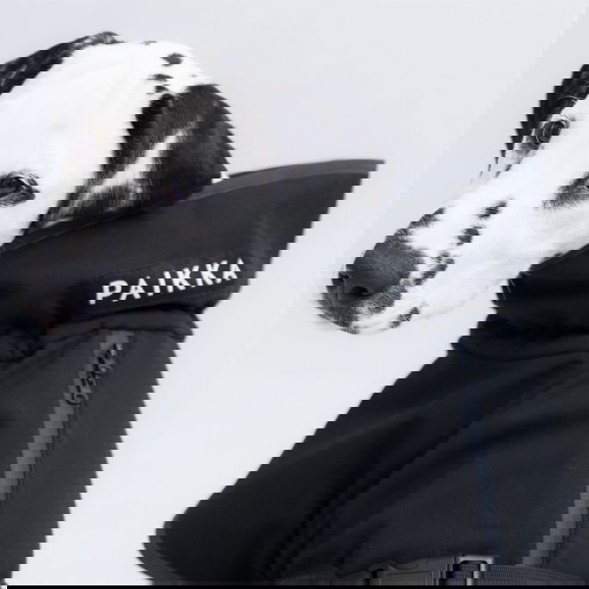 PAIKKA Recovery Softshell Hundjacka Svart
