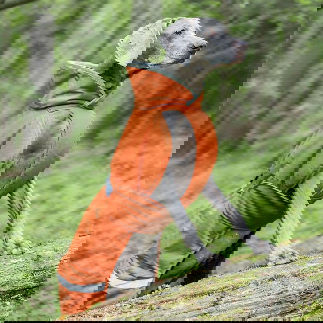 Pomppa Toppa Vintertäcke Hund Orange