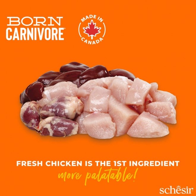 Schesir Born Carnivore Chicken & Egg