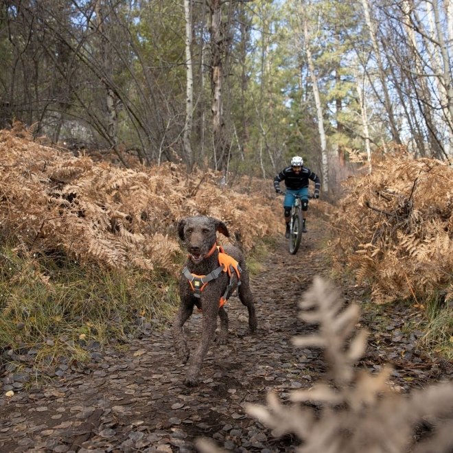 Ruffwear Web Master Hundsele Orange