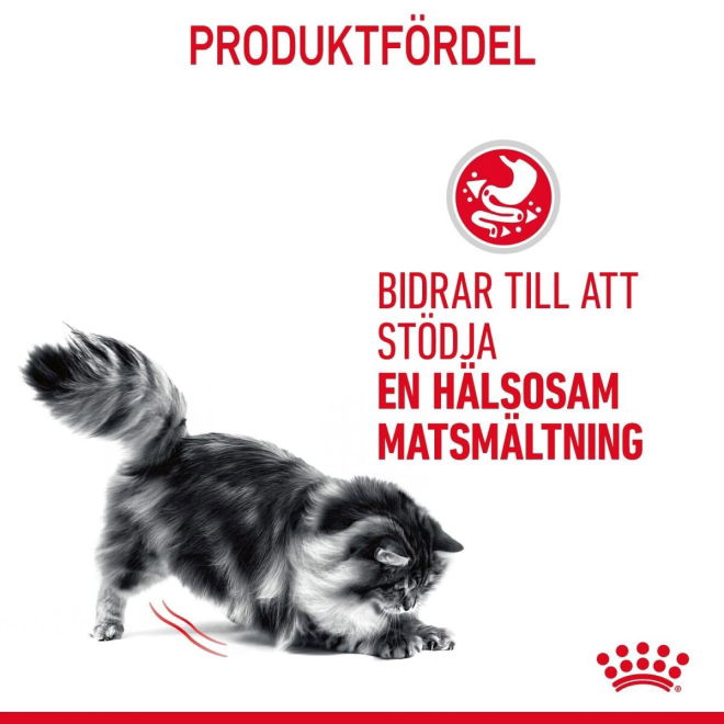 Royal Canin Digest Sensitive Våtfoder (12x85g)