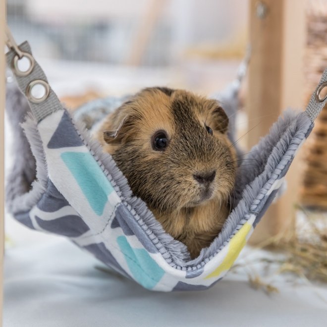 Trixie Sunny Plattform med Hammock