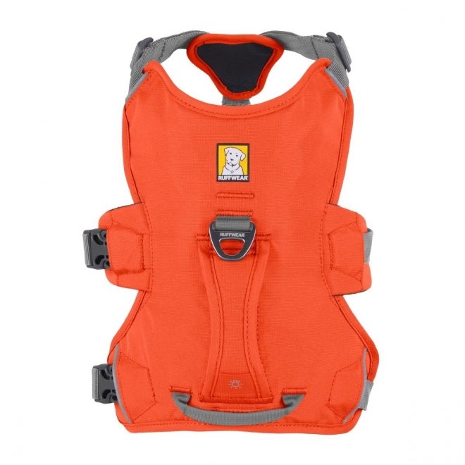 Ruffwear Web Master Hundsele Orange