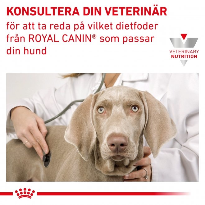 Royal Canin Veterinary Diets Dog Renal Small Dogs 3,5 kg