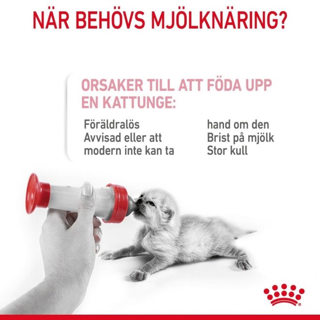 Royal Canin Babycat Milk